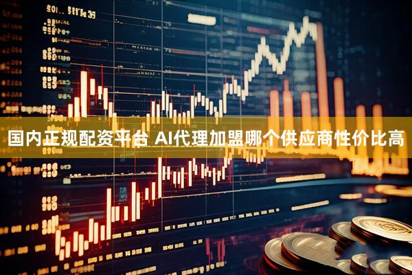 国内正规配资平台 AI代理加盟哪个供应商性价比高