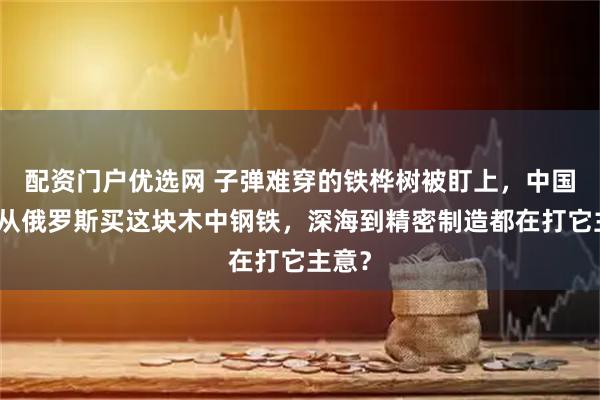 配资门户优选网 子弹难穿的铁桦树被盯上，中国为何从俄罗斯买这块木中钢铁，深海到精密制造都在打它主意？